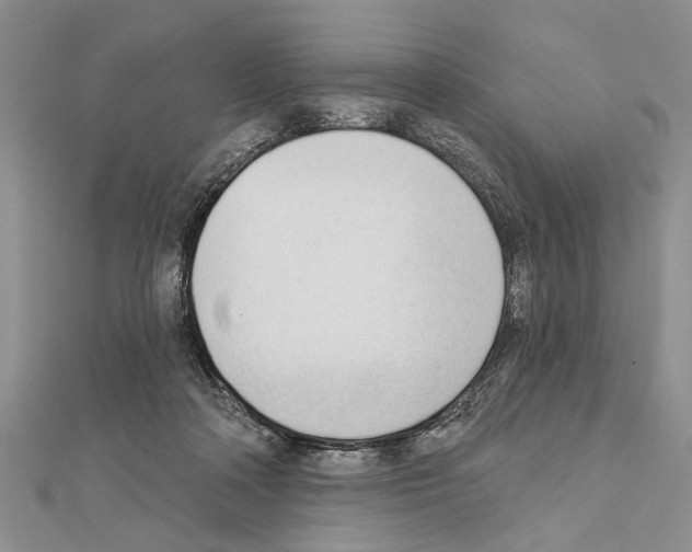 X0000111610314200908281056