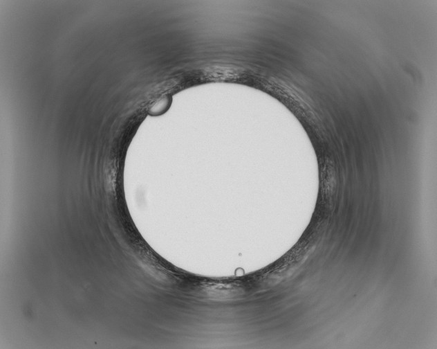 X0000111610315200908281056