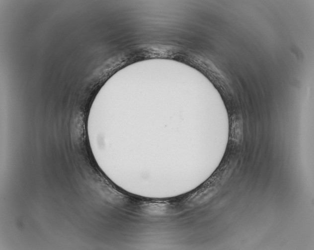 X0000111610318200908281056