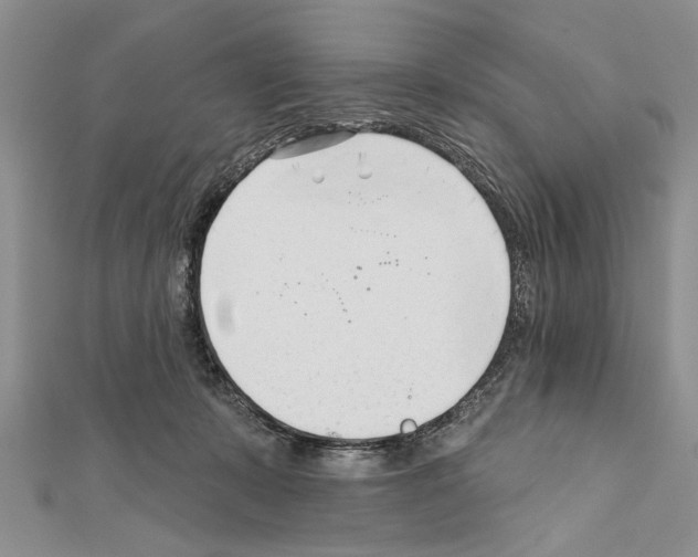 X0000111610319200908281056