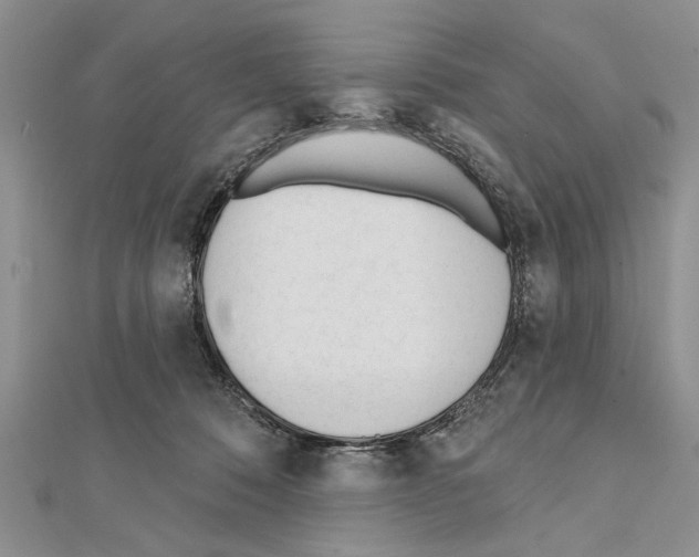 X0000111610320200908281056