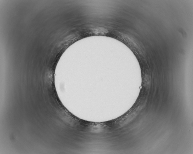 X0000111610321200908281056
