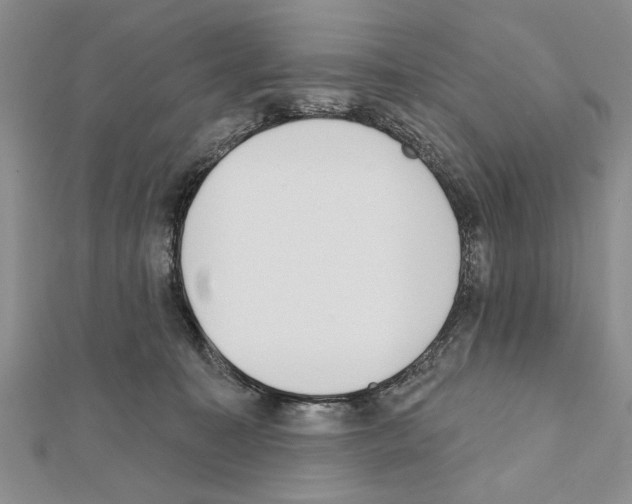 X0000111610323200908281056
