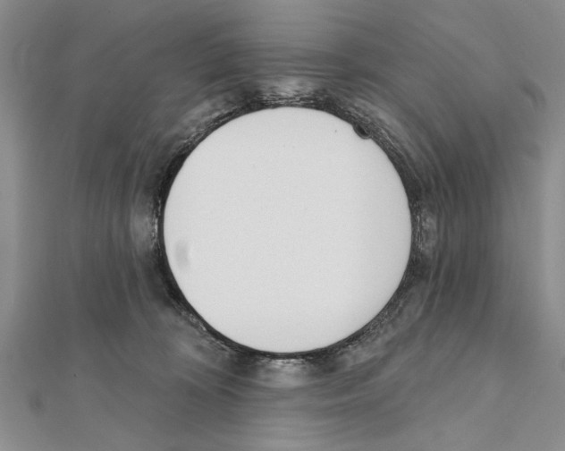 X0000111610324200908281056