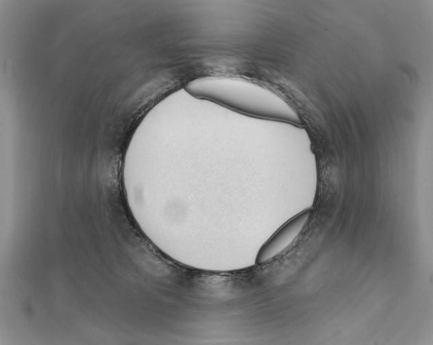X0000111610325200908281056
