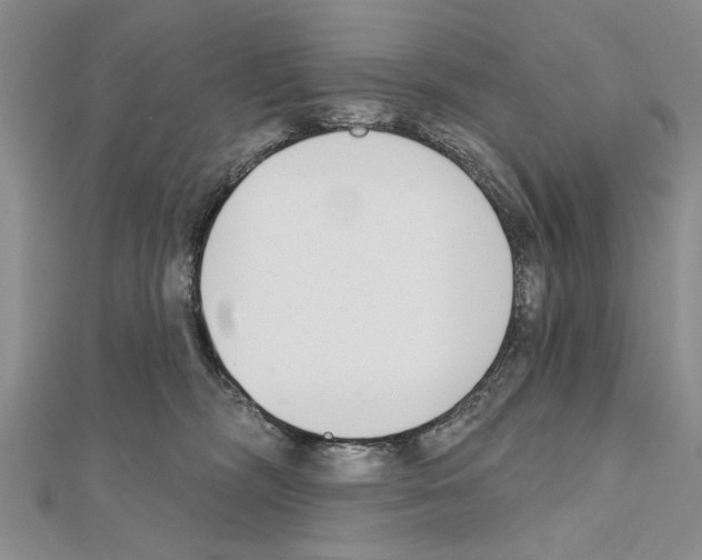 X0000111610326200908281056