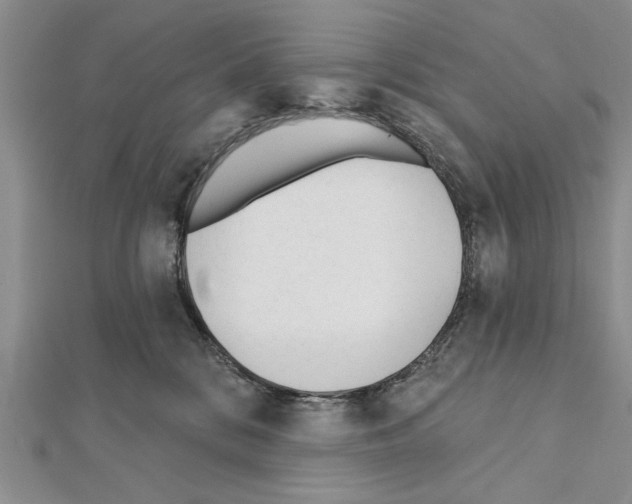 X0000111610328200908281056