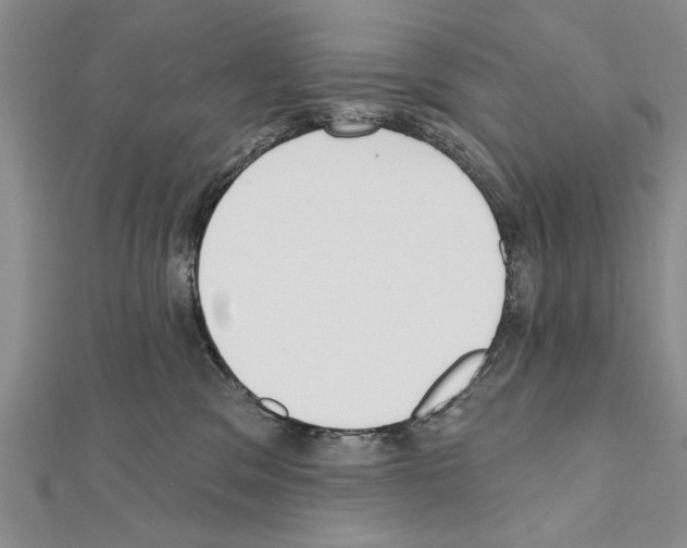 X0000111610329200908281056