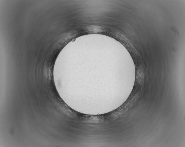 X0000111610330200908281056