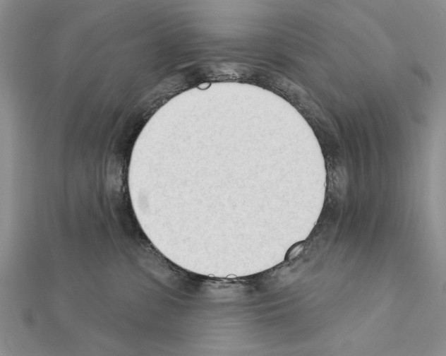 X0000111610331200908281056