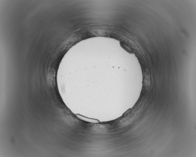 X0000111610332200908281056