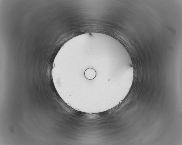 X0000111610333200908281056
