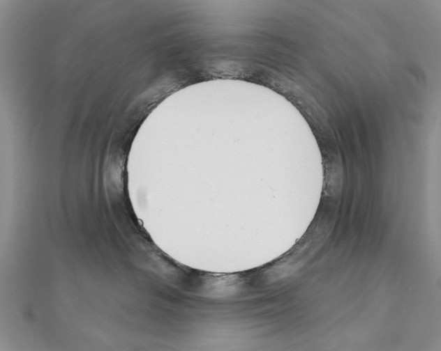 X0000111610334200908281056