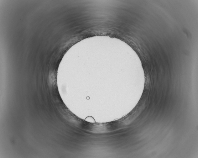 X0000111610335200908281056