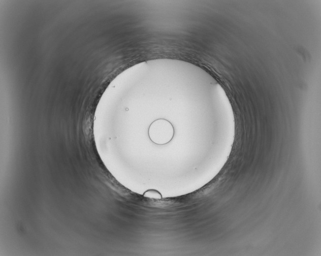 X0000111610336200908281056