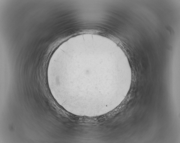 X0000111610337200908281056