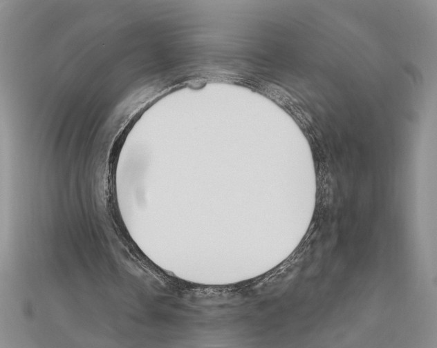 X0000111610338200908281056