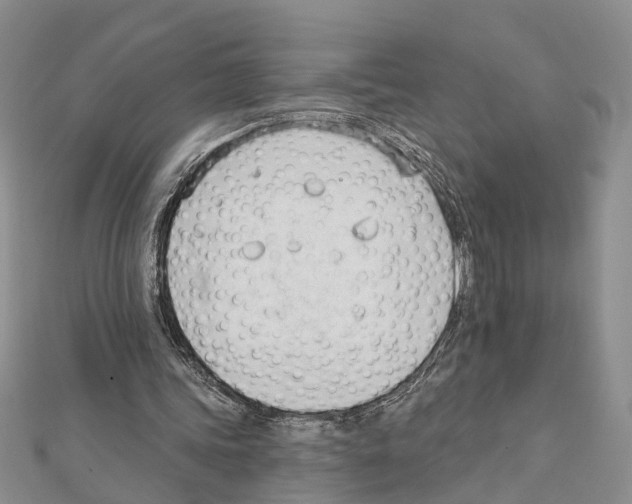 X0000111610339200908281056