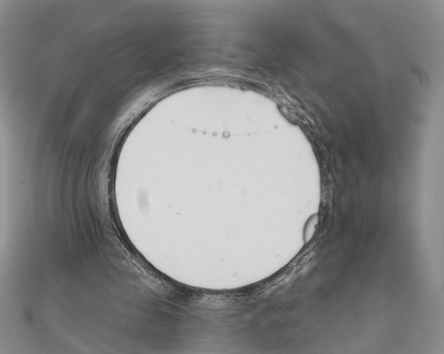 X0000111610341200908281056