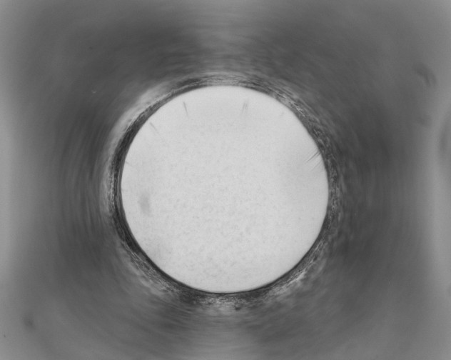 X0000111610343200908281056