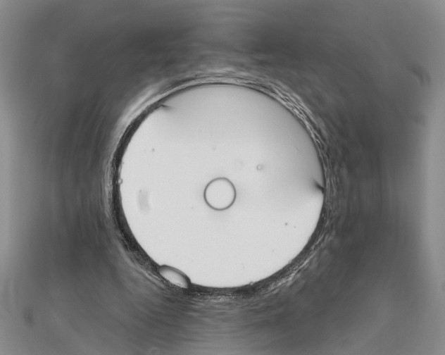 X0000111610344200908281056