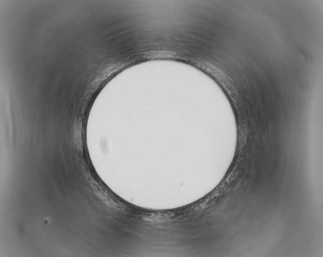 X0000111610345200908281056