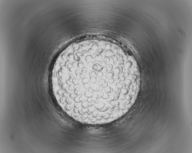 X0000111610346200908281056