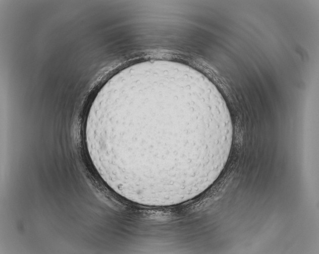 X0000111610347200908281056