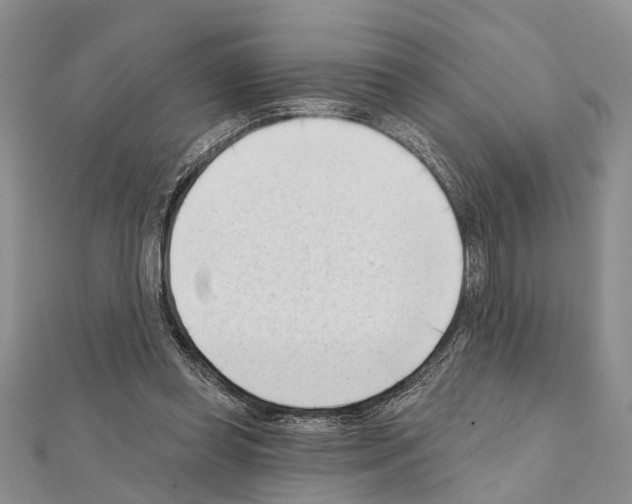 X0000111610349200908281056