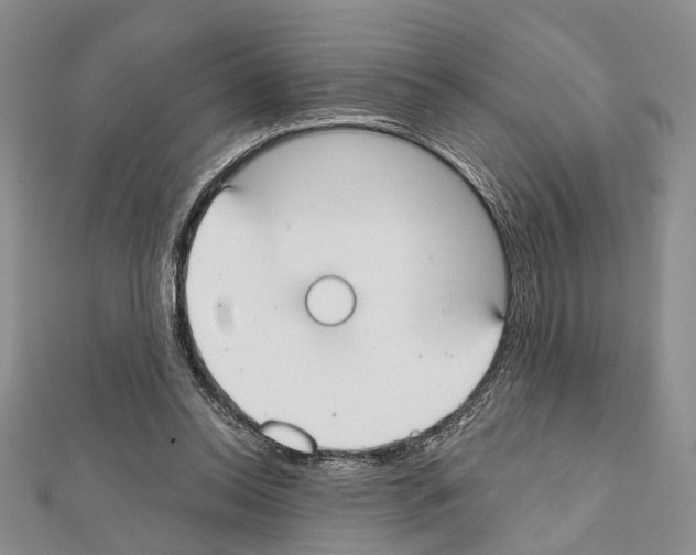 X0000111610350200908281056