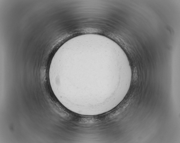 X0000111610351200908281056