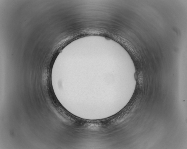 X0000111610352200908281056