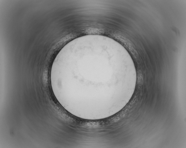 X0000111610353200908281056