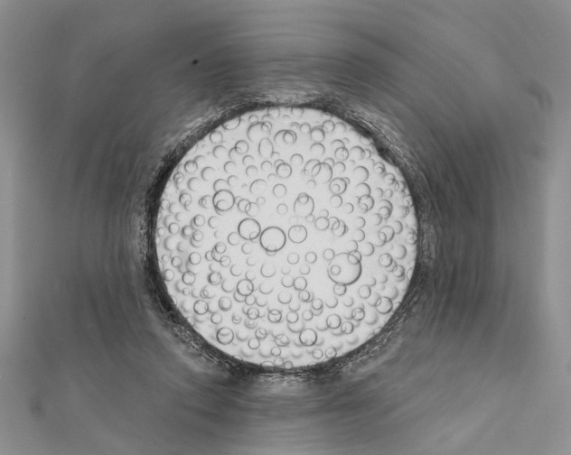 X0000111610354200908281056