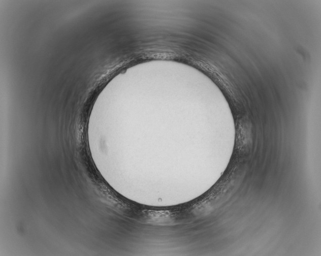 X0000111610355200908281056