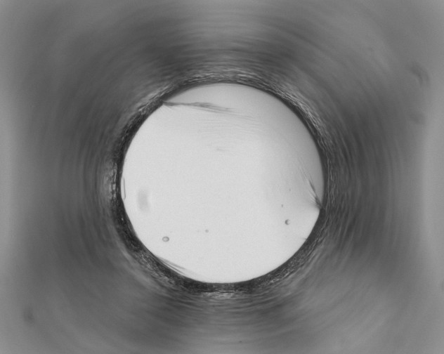 X0000111610356200908281056