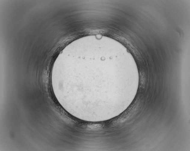X0000111610357200908281056