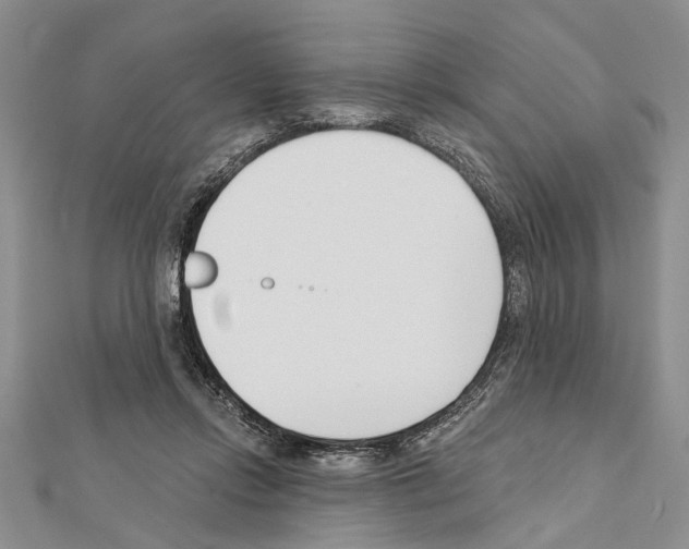 X0000111610358200908281056