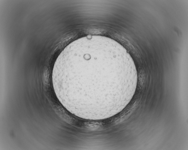 X0000111610359200908281056
