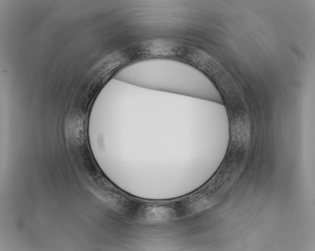 X0000111610360200908281056