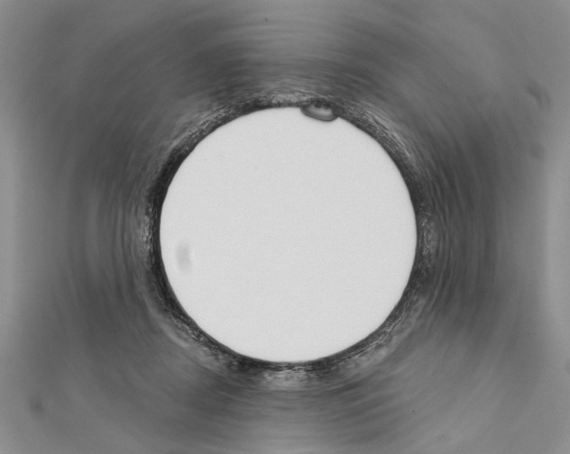 X0000111610362200908281056