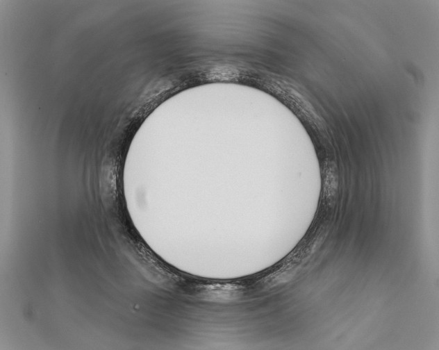 X0000111610363200908281056