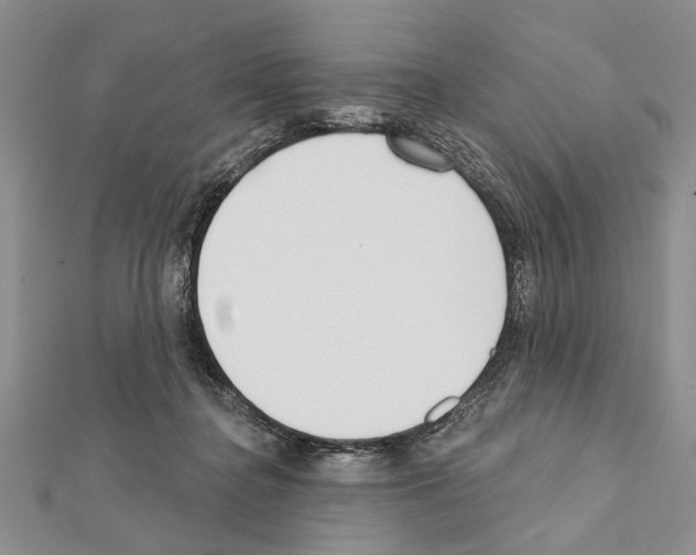 X0000111610364200908281056