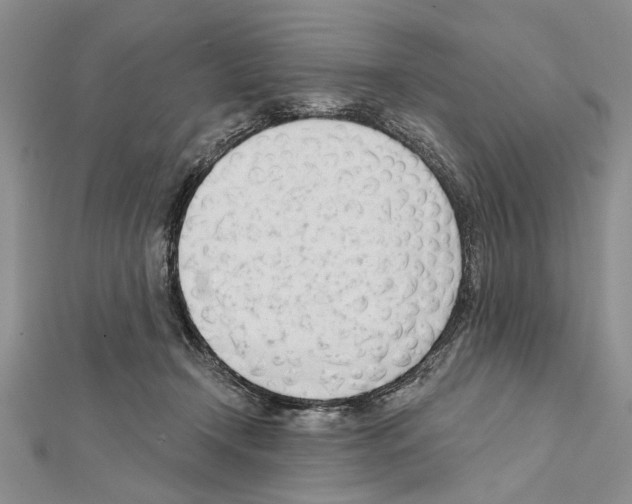 X0000111610366200908281056