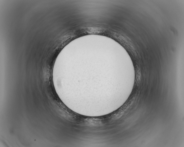 X0000111610367200908281056