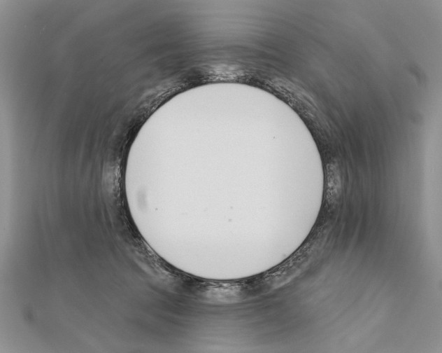 X0000111610369200908281056