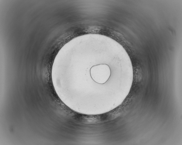 X0000111610370200908281056