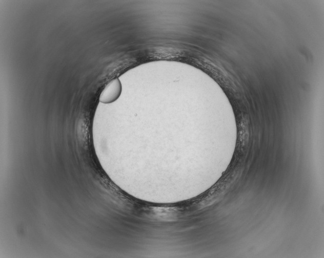 X0000111610371200908281056
