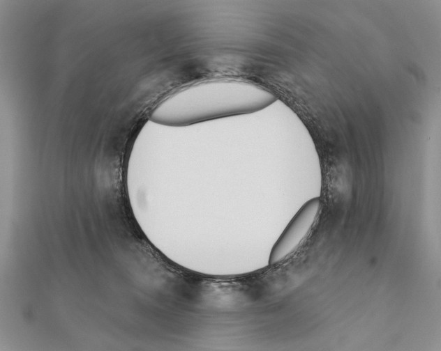 X0000111610372200908281056