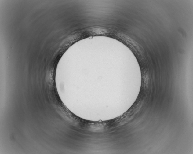 X0000111610373200908281056